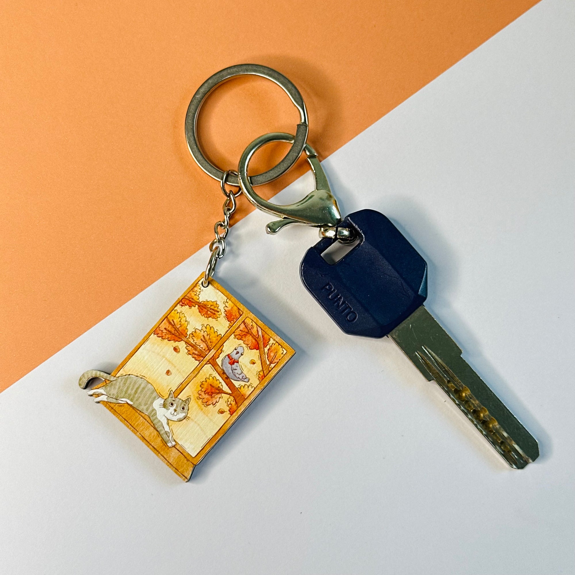 Cat on the key chain by the window